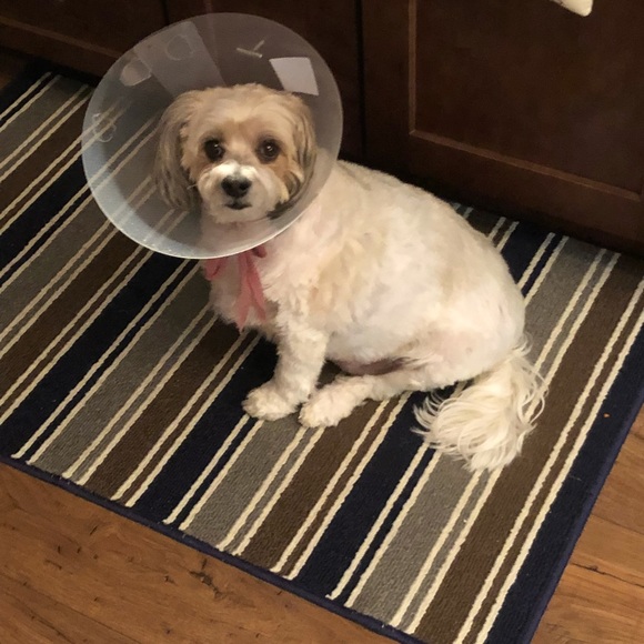 My Best Friend Forever In My Heart 💕 - Picture 14 of 17